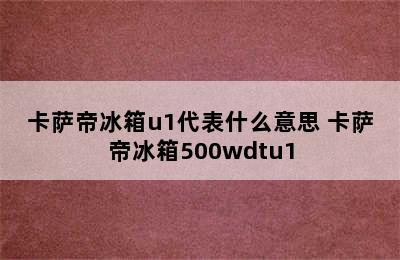 卡萨帝冰箱u1代表什么意思 卡萨帝冰箱500wdtu1